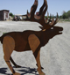 Elk