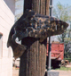 Fish Pole