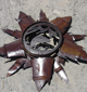Sun Fish