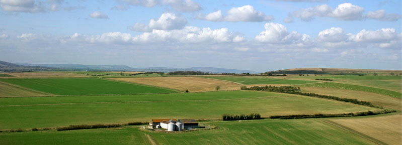 agriculture